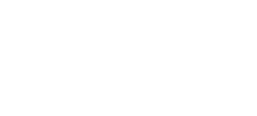 Renew Energy Partners